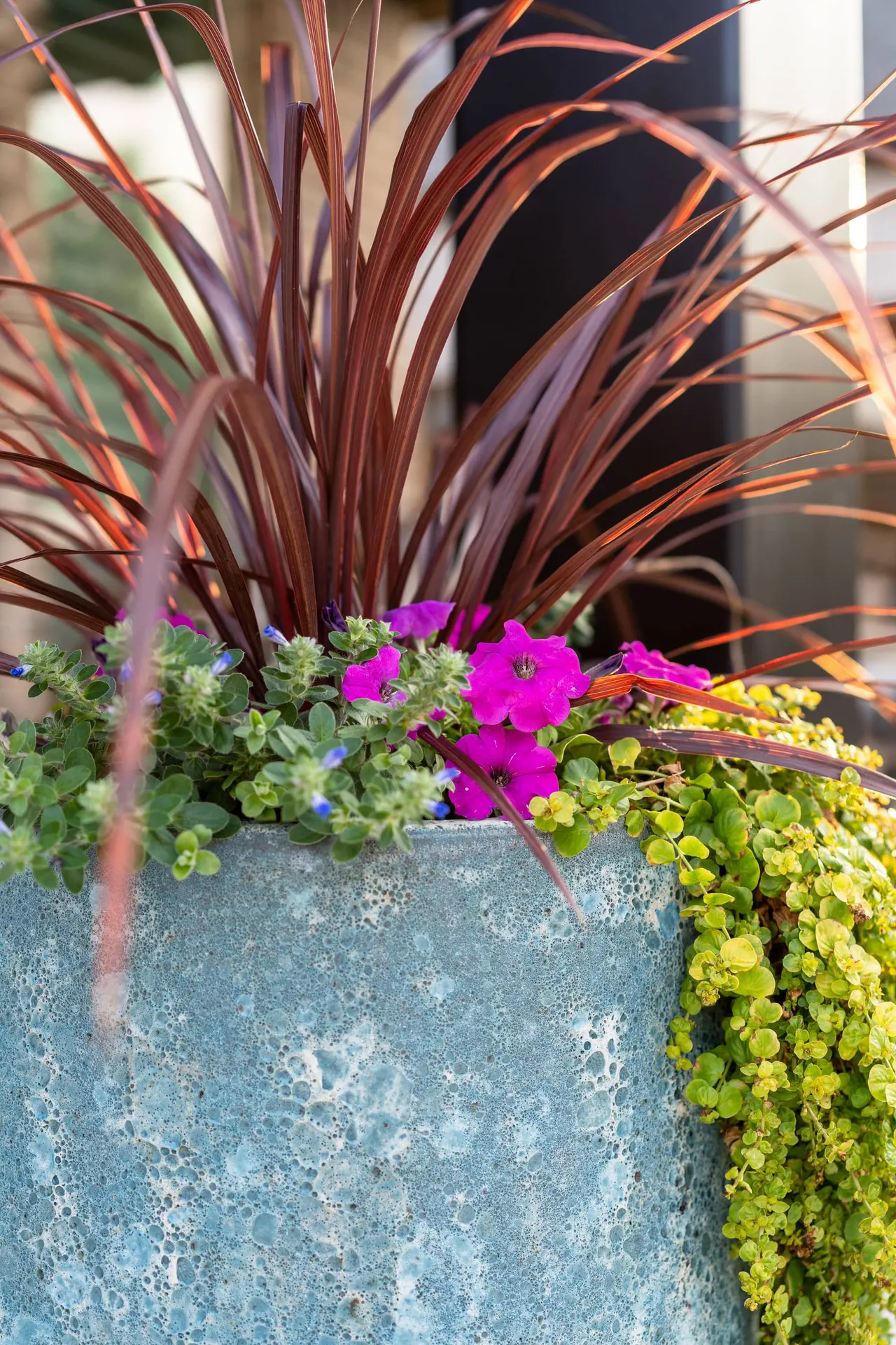 Landscapes by Verde Outdoors (photo 7)