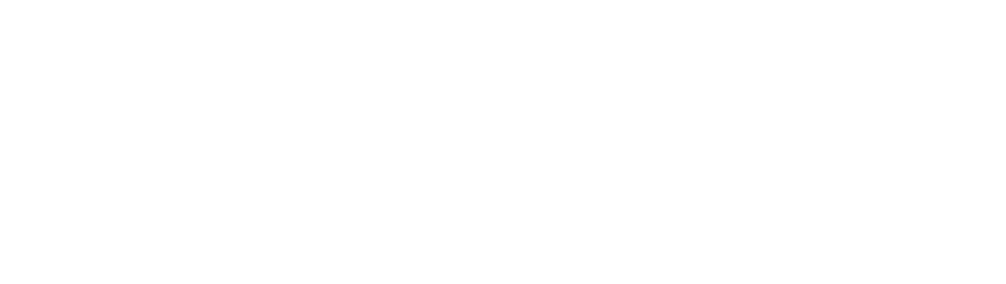 Lyon Financial