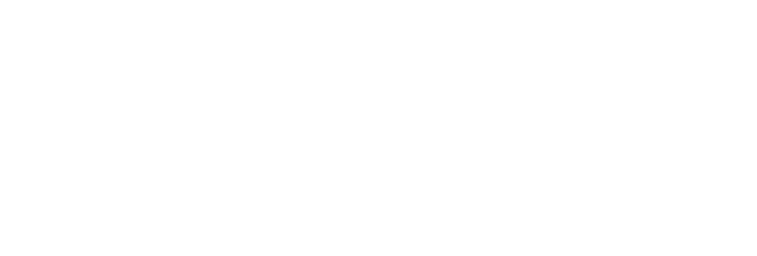 PebbleTec